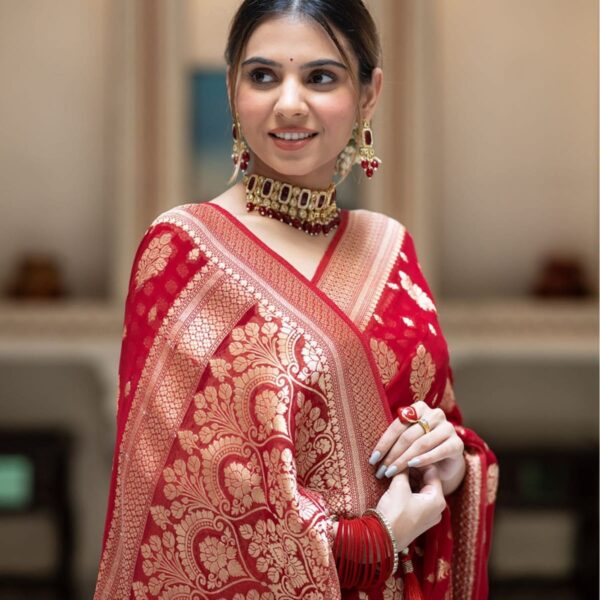 Premium Apsan & Block Printed Dhupiyan Saree with Blouse Piece